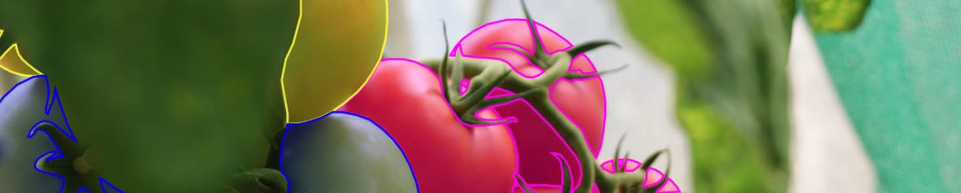 Ripeness Monitoring